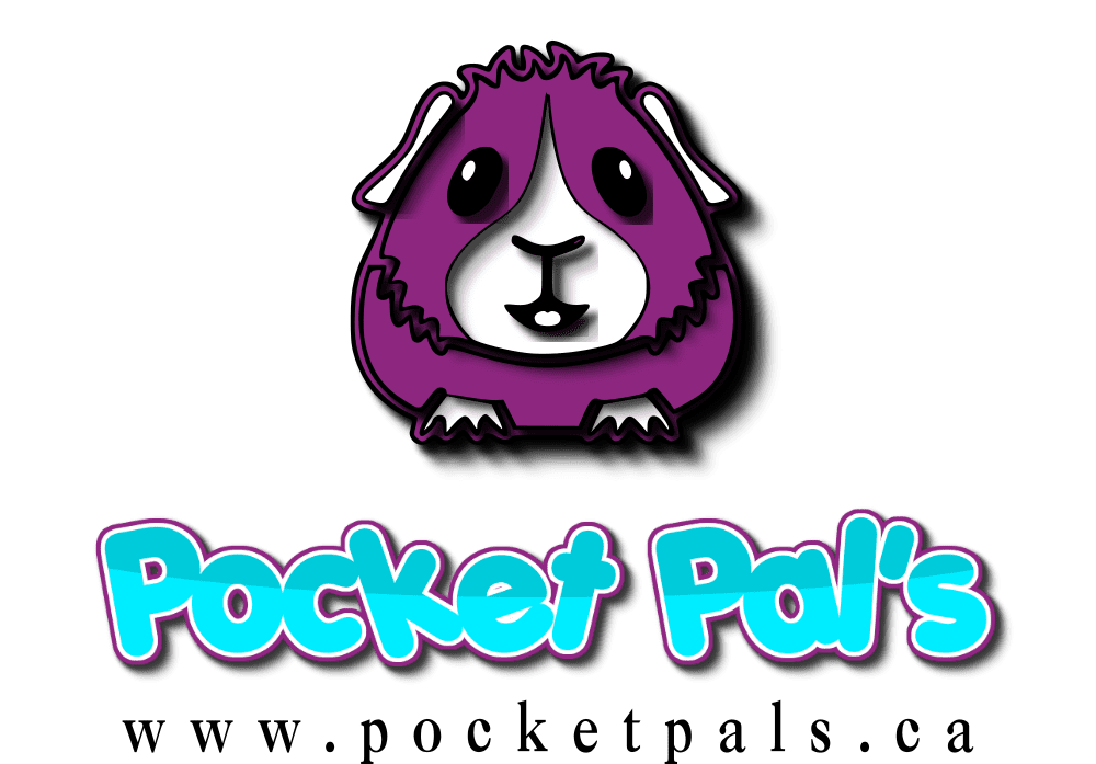 logo1